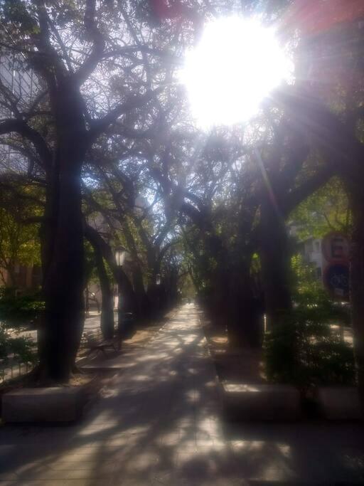 Para Tus Escapadas A Cordova Esterno foto